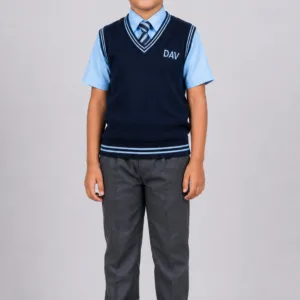 Front view of Indian boy wearing DAV navy blue half sleeve school sweater with tie grey trousers and formal school shoes