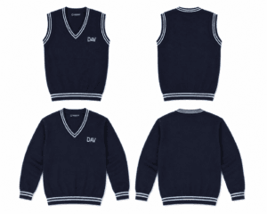 DAV school uniform navy blue full sleeve and half sleeve sweater front and back product view with V-neck striped design