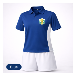 dps house uniform blue polo with crest - athletic fit product photo